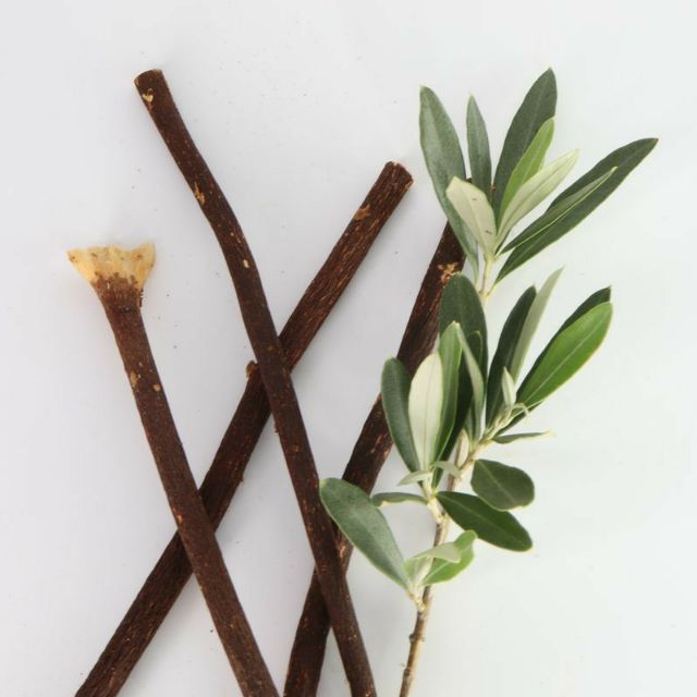 Olive Miswak (Kayu Sugi Zaitun) – Pengimport Produk Arab dan Sunnah