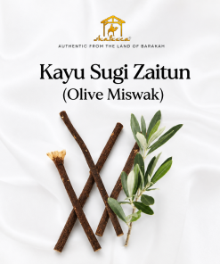 Olive Miswak (Kayu Sugi Zaitun)