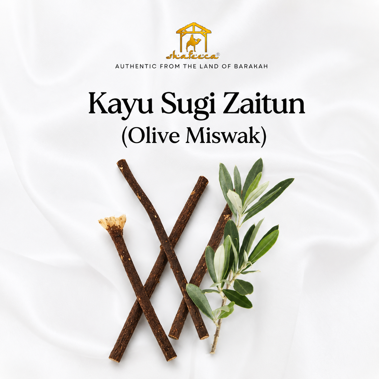 Olive Miswak (Kayu Sugi Zaitun)